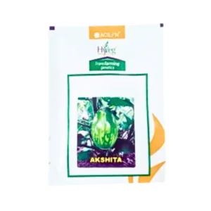 Acsen Hyveg Akshita F1 Hybrid Brinjal Organic Vegetable Seeds