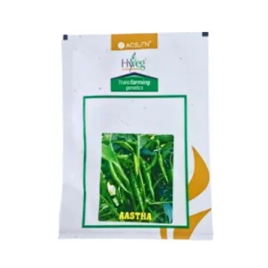 ACEN HYVEG ASTHA HYBRID CHILLI VEGETABLE SEEDS INDIA