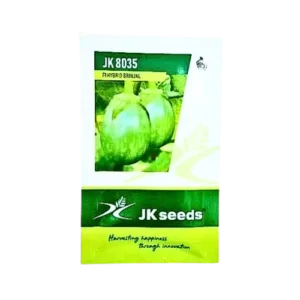 Jk 8035 F1 Hybrid Brinjal 10 Gm vegetable Seeds