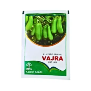 Kalash KSP -1419 VAJRA f1 Hybrid Brinjal Organic Vegetable Seeds Online