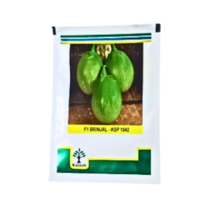 KPS kalash1542 F1 Hybrid Brinjal Vegetable Seeds