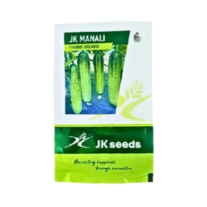 Jk Manali F1 Hybrid Cucumber Organic Seeds Plant