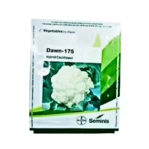 Seminis Bayer Dawn-175 Hybrid 10 gm cauliflower seeds By Flixhob.com