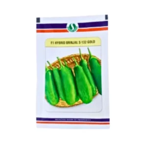 Sungro S 132 Gold F1 hybrid Brinjal Vegetable Seeds