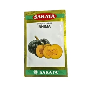 SAKATA PUMPKAIN VEGETABLE SEEDS INIDIA PRODUCTS