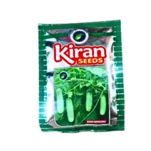 Kiran Rain Special Cucumber Seeds