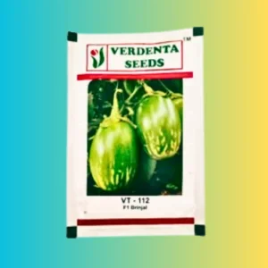 Verdenta VT 112 Brinjal Seeds