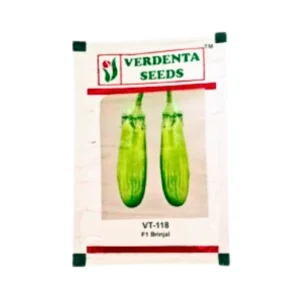 Verdenta VT 118 Brinjal Seeds