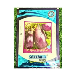 Sreemaa Bluestar Brinjal Seeds