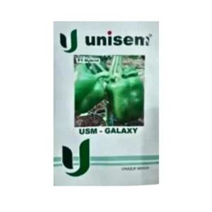 UNISEM F1 Hybrid USM GALAXY Capsicum Organic Vegetable Seeds