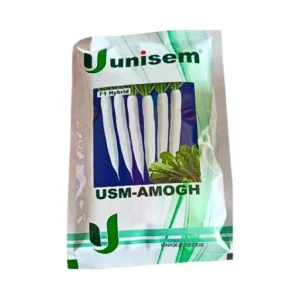 New Unisem USM-Among F1 Hybrid Radish Seeds