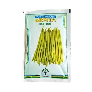 New Kalash KSP 168 Arpita Pole Beans Seeds