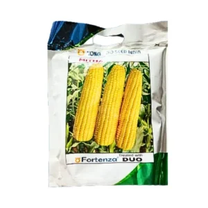 New Nongwoo Fortenza Duo Sweet Mithas Corn Seeds