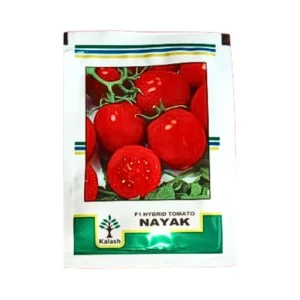 New Kalash Nayak F1 Hybrid Tomato Seeds