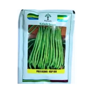 New Kalash KSP 168 Arpita Pole-Beans Vegetable Seeds