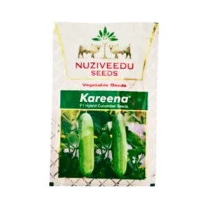 New Nuziveedu Kareena F1 Hybrid Cucumber seeds