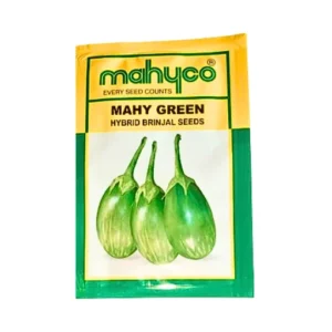 New Maguco Mahy Green Hybrid Brinjal Seeds