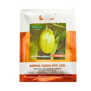 New Bapna BSHB-22 Hari Premium F1 Hybrid Brinjal Seeds