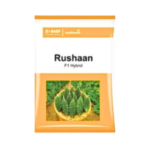 New Nunhems Rushaan F1 Hybrid Bitter Gourd Seeds