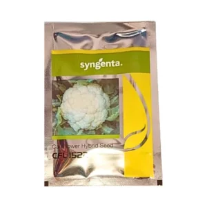 New Syngenta CFL 1522 Hybrid Cauliflower Seeds