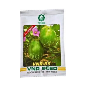 New VNR (Vnr-B5) F1 Hybrid Brinjal Seeds