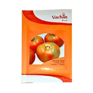 New Vachan Desi (Vtoh-0124) F1 Hybrid Tomato Seeds