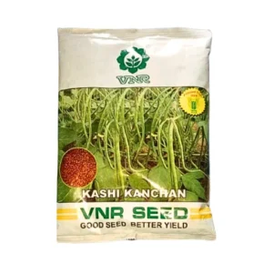 New Vnr Kashi Kanchan Beans Organic Vegetable Seeds