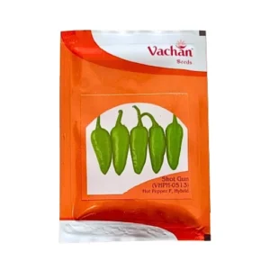 New Vachan (VHPH-0513) Hot Pepper F1 Hybrid Chilly Organic Vegetable Seeds