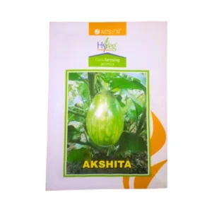 Acsen Hyveg Akshta Brinjal Seeds