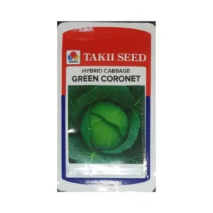 Takii Green Coronet Hybrid cabbage Seeds