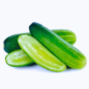 ABSEEDS Rekha F1 Hybrid Cucumber Seeds 129 Pis