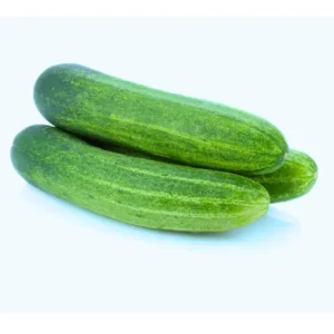 ABSEEDS Jyoti F1 Hybrid Cucumber Seeds 129 Pis