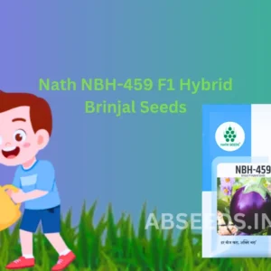 New Nath NBH-459 F1 Hybrid Brinjal Vegetable Seeds