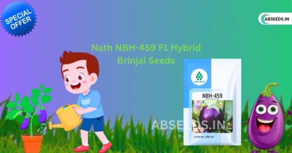 New Nath NBH-459 F1 Hybrid Brinjal Vegetable Seeds