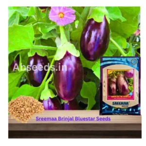 Sreemaa Brinjal Bluestar Organic Vegetable Seeds